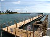 Sea Trek - SAN JUAN